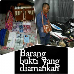 Apes, Belum Sempat Nikmati Hasil Jambretan, Pemuda di Inhil Ini Sudah Dibekuk Polisi