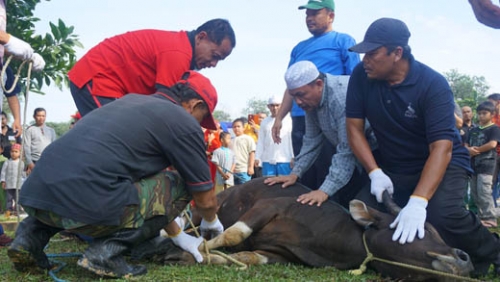 GoRiau - IMRA Riau Komplek Bagikan Ribuan Kantong Daging 