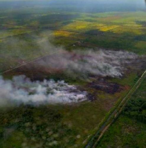 GoRiau - 27 Titik Panas Terdeteksi di 4 Kabupaten di Riau 