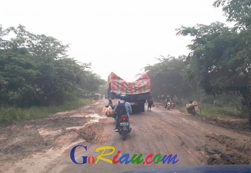 GoRiau - Dianggarkan Rp 28 Miliar, Jalan Provinsi dari 