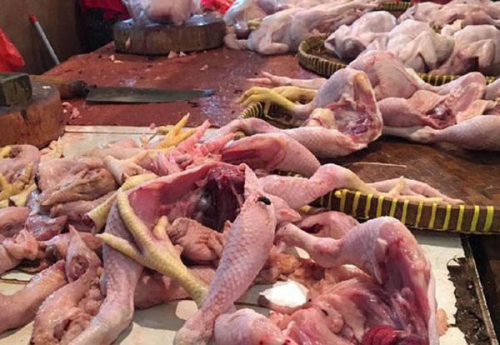 GoNews - Harga Ayam Potong Semakin Tinggi, Pedagang Pekanbaru Cemas