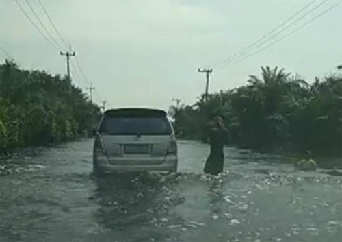 GoRiau - Banjir di Pelalawan, Warga Inhil yang Mau ke ...