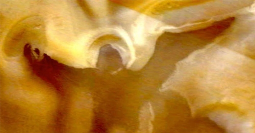 46 Koleksi Foto Penampakan Malaikat Di Gereja HD