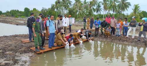 GoRiau Pelepasan bibit ikan ke kolam